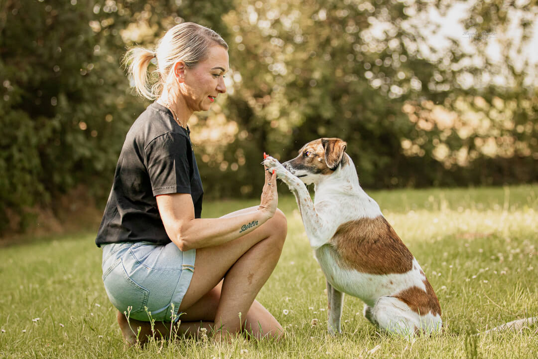 High Five Franzi und Panchi Blonde Frau und mittelgroßer Hund geben sich im Garten ein High Five