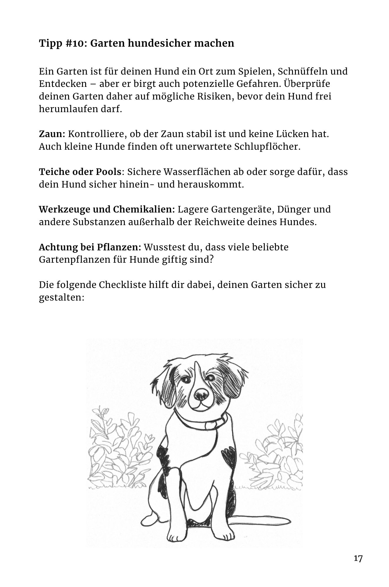 Blick ins Buch Hund zieht ein Ratgeber 1