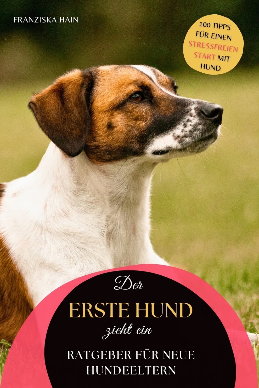 Cover-Abbildung Buch "Der erste Hund zieht ein" E-Book als PDF zum Download | hund zieht ein ratgeber